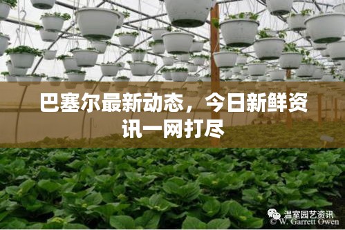 巴塞爾最新動態(tài)，今日新鮮資訊一網(wǎng)打盡