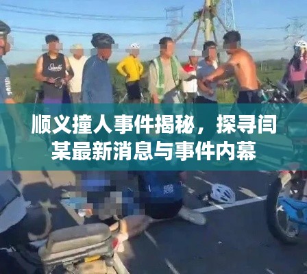 順義撞人事件揭秘，探尋閆某最新消息與事件內(nèi)幕
