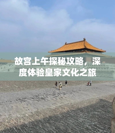 故宮上午探秘攻略，深度體驗皇家文化之旅