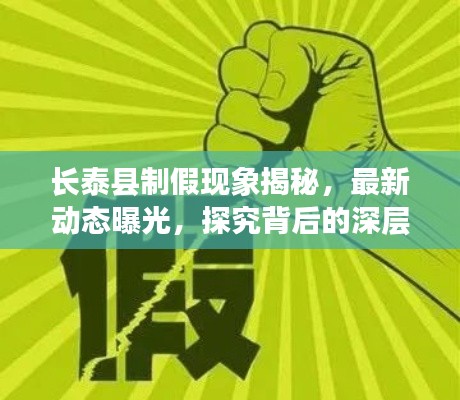 長泰縣制假現(xiàn)象揭秘，最新動態(tài)曝光，探究背后的深層次原因