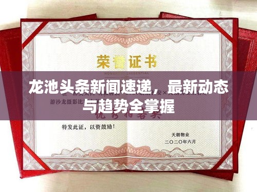 龍池頭條新聞速遞，最新動態(tài)與趨勢全掌握