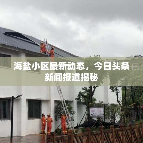 海鹽小區(qū)最新動(dòng)態(tài)，今日頭條新聞報(bào)道揭秘