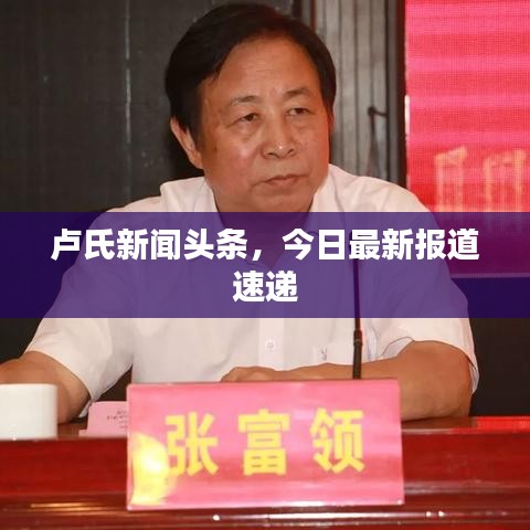 盧氏新聞頭條，今日最新報道速遞