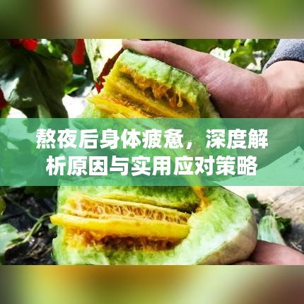 熬夜后身體疲憊，深度解析原因與實(shí)用應(yīng)對(duì)策略