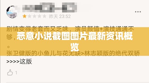 惡意小說截圖圖片最新資訊概覽