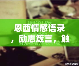 恩西情感語錄，勵志箴言，觸動心靈之音
