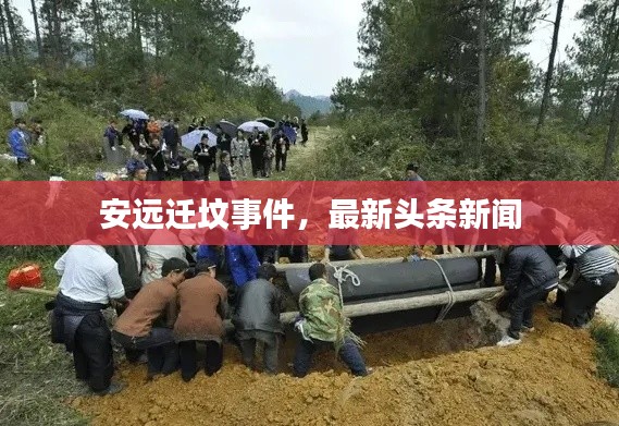 安遠(yuǎn)遷墳事件，最新頭條新聞