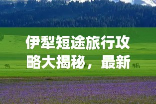 伊犁短途旅行攻略大揭秘，最新指南助你暢游無憂！