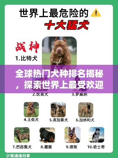 全球熱門犬種排名揭秘，探索世界上最受歡迎的犬種