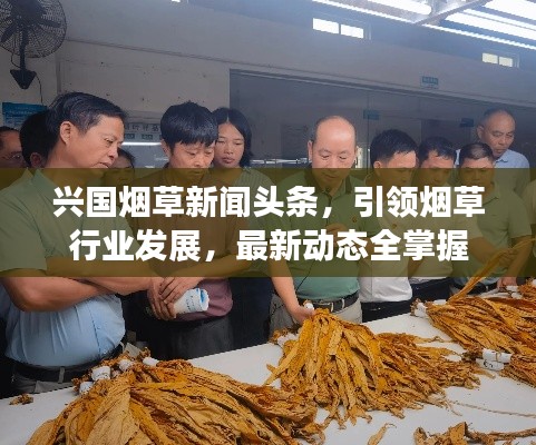 興國(guó)煙草新聞?lì)^條，引領(lǐng)煙草行業(yè)發(fā)展，最新動(dòng)態(tài)全掌握