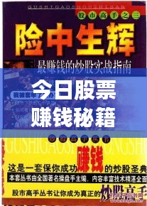 今日股票賺錢秘籍，最新策略與技巧實(shí)戰(zhàn)指南
