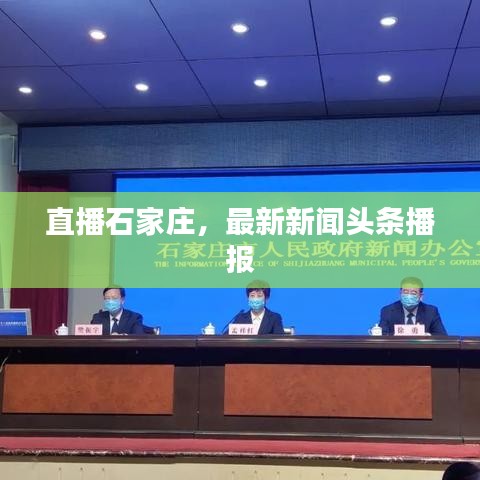 直播石家莊，最新新聞頭條播報