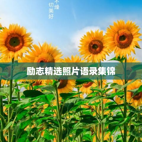 七嘴八張 第2頁(yè)
