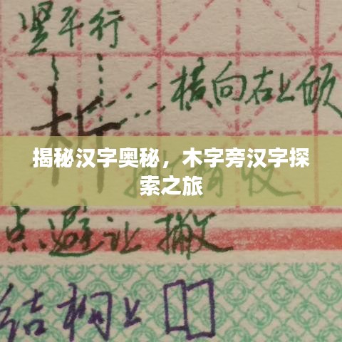 揭秘漢字奧秘，木字旁漢字探索之旅