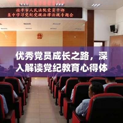 優(yōu)秀黨員成長(zhǎng)之路，深入解讀黨紀(jì)教育心得體會(huì)