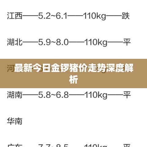 最新今日金鑼豬價(jià)走勢(shì)深度解析