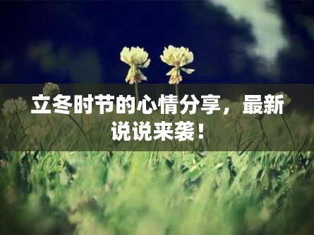 立冬時(shí)節(jié)的心情分享，最新說說來襲！