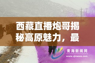 西藏直播炮哥揭秘高原魅力，最新視頻大全引領(lǐng)探索熱潮
