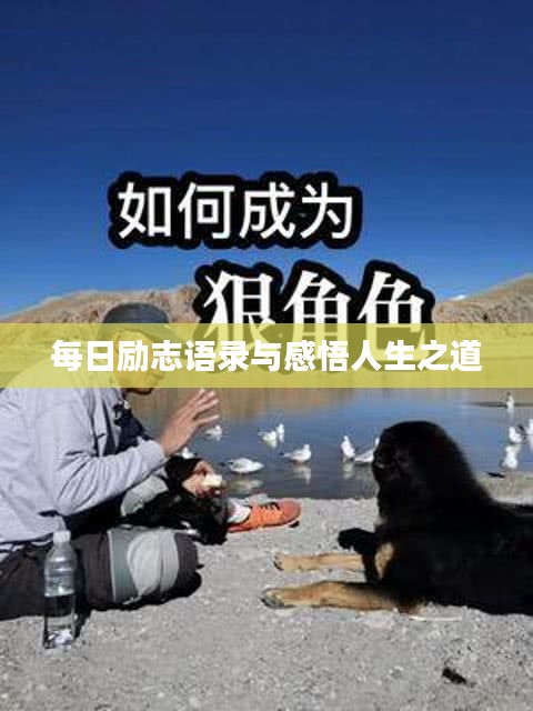 每日勵志語錄與感悟人生之道