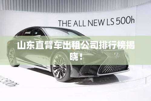 山東直臂車出租公司排行榜揭曉！