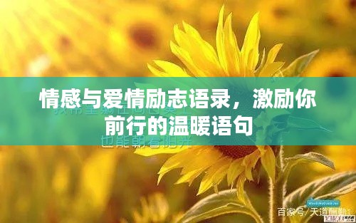 情感與愛情勵志語錄，激勵你前行的溫暖語句