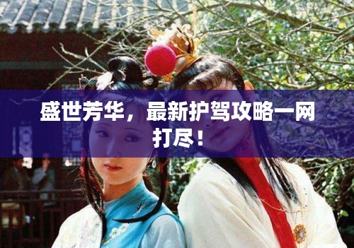 盛世芳華，最新護(hù)駕攻略一網(wǎng)打盡！