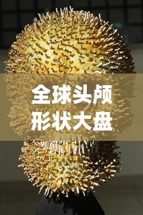 全球頭顱形狀大盤點(diǎn)，多樣性與獨(dú)特魅力的展現(xiàn)