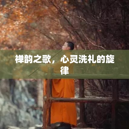 禪韻之歌，心靈洗禮的旋律