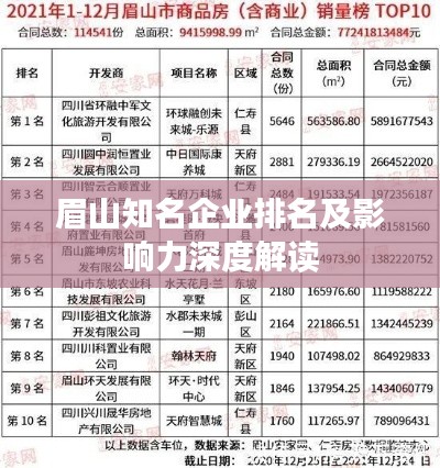 眉山知名企業(yè)排名及影響力深度解讀