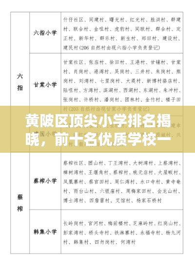 黃陂區(qū)頂尖小學(xué)排名揭曉，前十名優(yōu)質(zhì)學(xué)校一覽