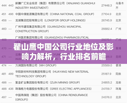 翟山鷹中國公司行業(yè)地位及影響力解析，行業(yè)排名前瞻