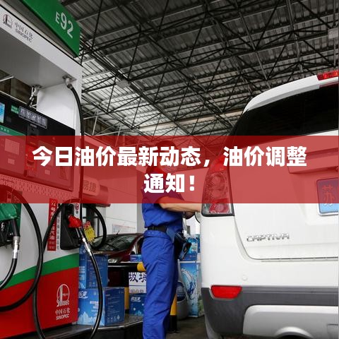 今日油價最新動態(tài)，油價調(diào)整通知！