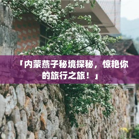 「內(nèi)蒙燕子秘境探秘，驚艷你的旅行之旅！」