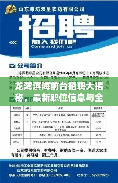 龍灣濱海前臺(tái)招聘大揭秘，最新職位信息與全面解讀！