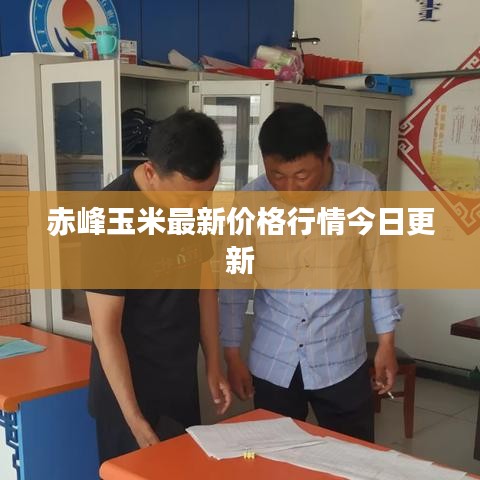 赤峰玉米最新價(jià)格行情今日更新