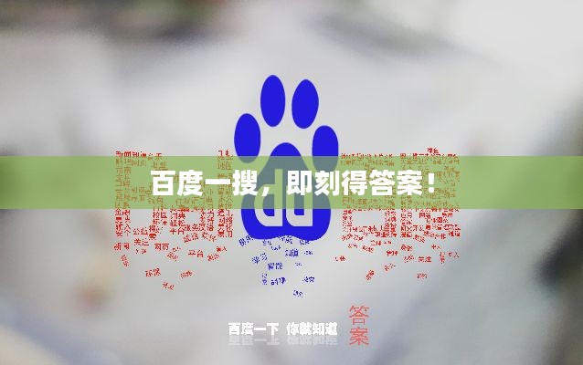 百度一搜，即刻得答案！