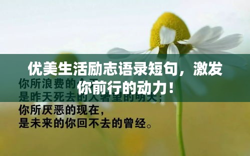 優(yōu)美生活勵志語錄短句，激發(fā)你前行的動力！