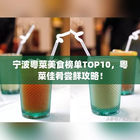 寧波粵菜美食榜單TOP10，粵菜佳肴嘗鮮攻略！