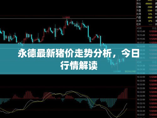 永德最新豬價(jià)走勢(shì)分析，今日行情解讀