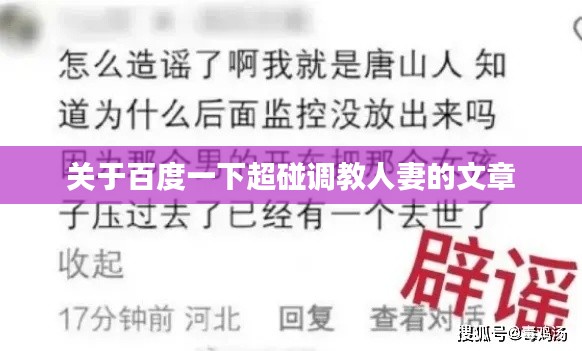關于百度一下超碰調教人妻的文章