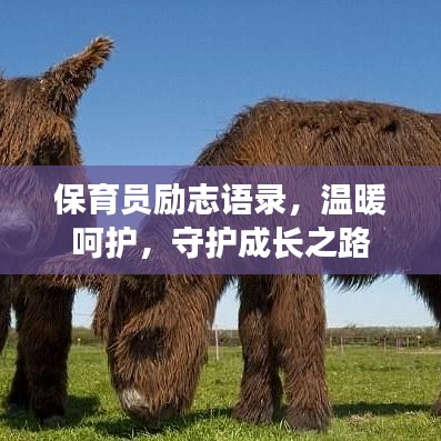 保育員勵(lì)志語錄，溫暖呵護(hù)，守護(hù)成長(zhǎng)之路