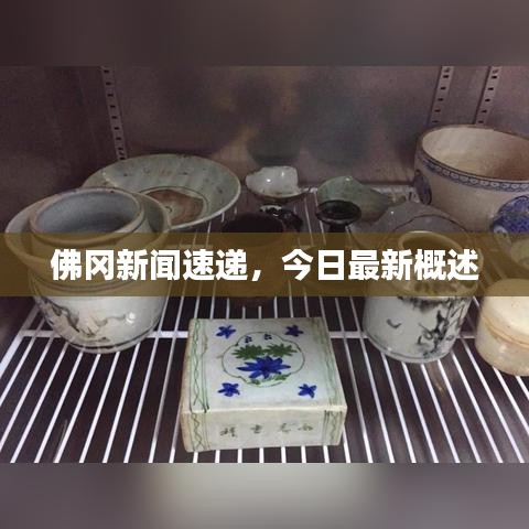 佛岡新聞速遞，今日最新概述