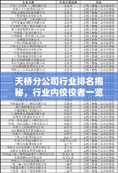 天橋分公司行業(yè)排名揭秘，行業(yè)內(nèi)佼佼者一覽無余