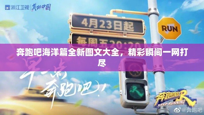 奔跑吧海洋篇全新圖文大全，精彩瞬間一網(wǎng)打盡